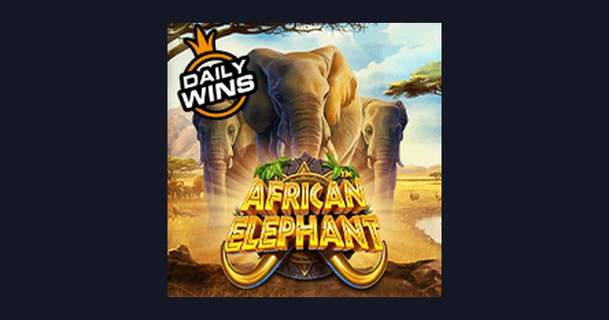 African Elephant dan Info RTP Live Tertinggi untuk Pemain Slot